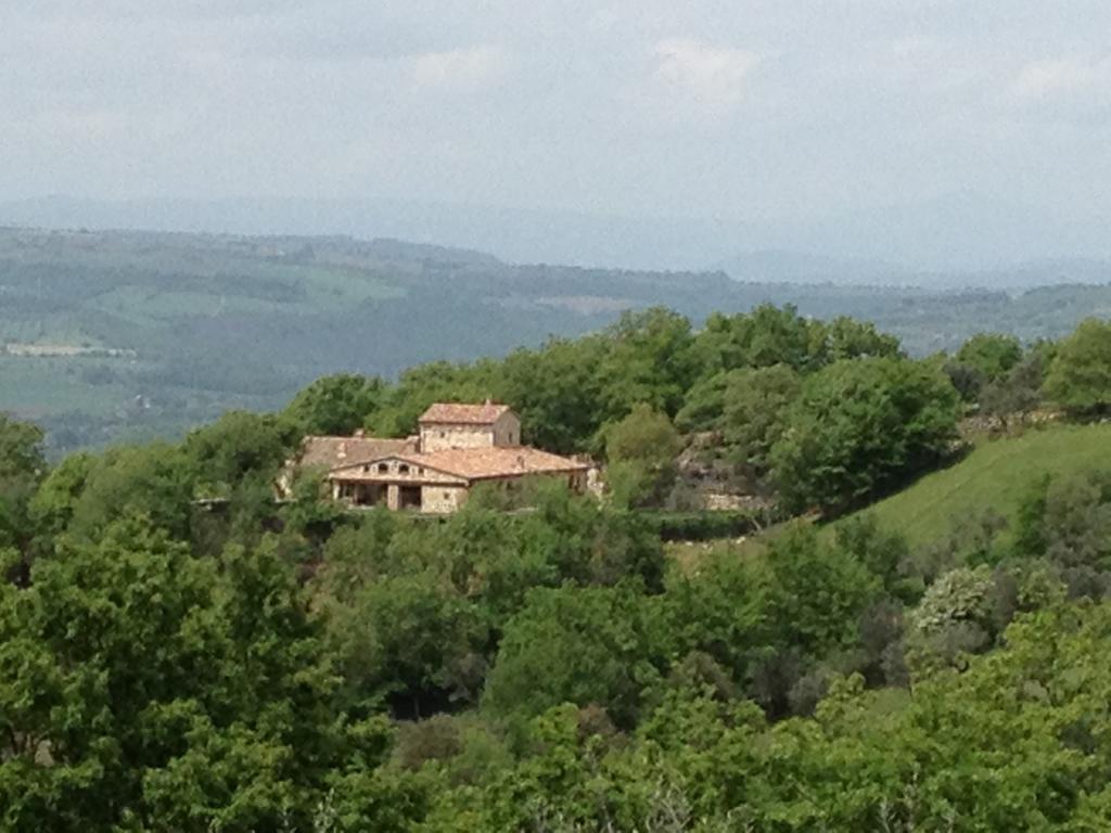 Luxury Villa Colle Dell'Asinello ,Proprietari ,Villa In Esclusiva Near Orvieto Guardea Cameră foto